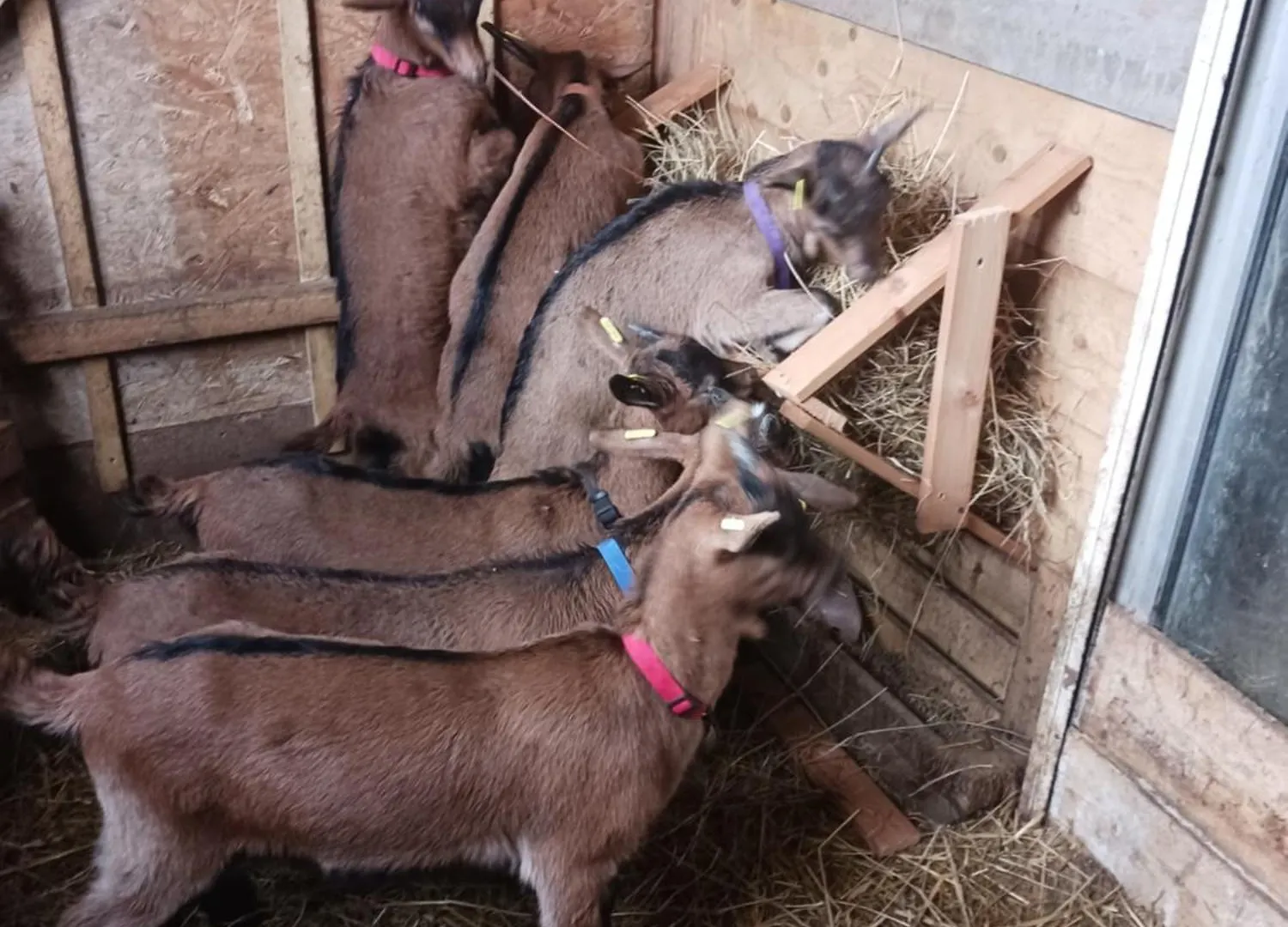 Appartement La Ferme Stanczak à Tréguier 0*,  France